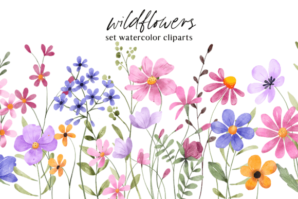 Elevate Your Projects with a Floral Watercolor Set