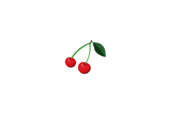 Exploring the Fruit Cherry Detail Illustrations Vector